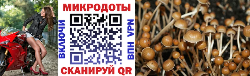 Галлюциногенные грибы мухоморы  blacksprut рабочий сайт  Пенза 