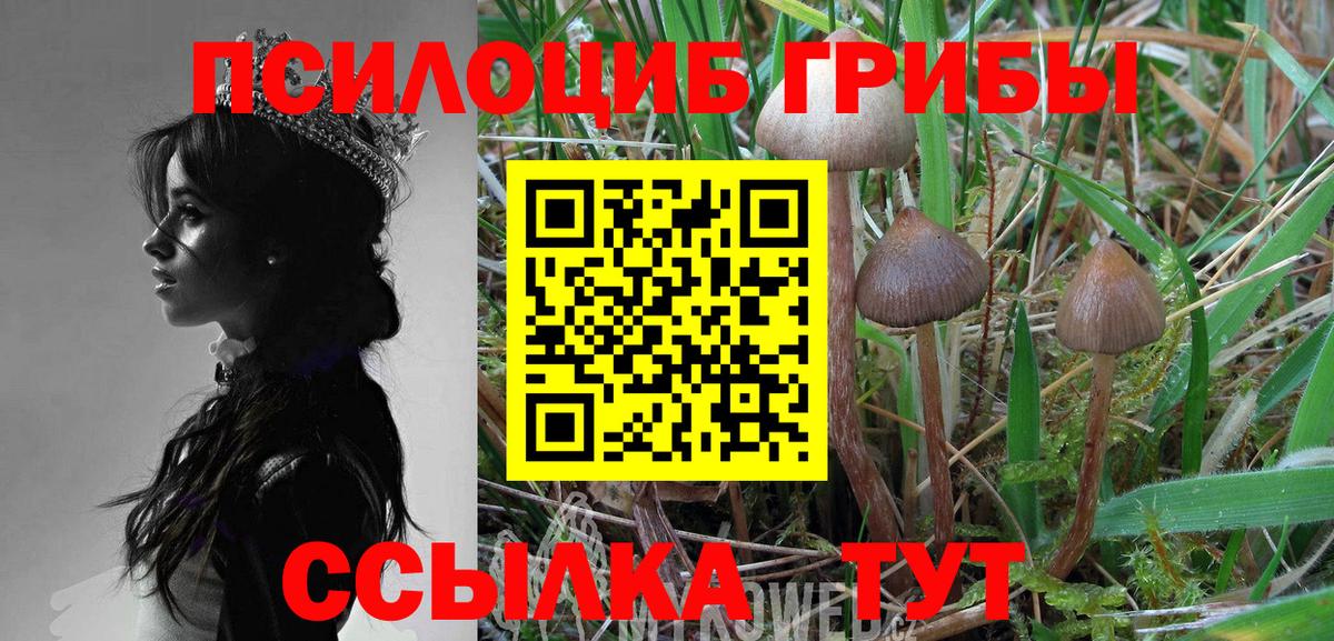 Псилоцибиновые грибы GOLDEN TEACHER  Вход с VPN  Галлюциногенные грибы ЛСД  Пенза 