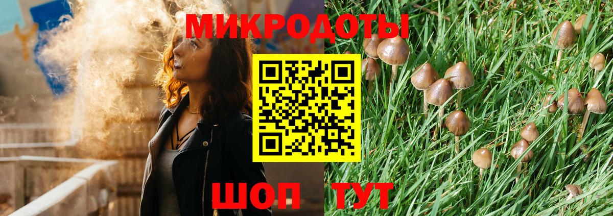 Псилоцибиновые грибы Magic Shrooms Пенза